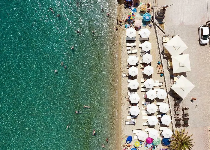 Sea Level By Diomedes Group (adults Only) Polychrono